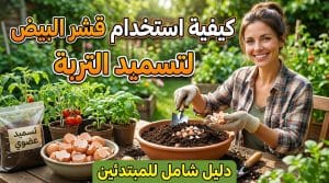 كيفية استخدام قشر البيض لتسميد التربة: دليل شامل للمبتدئين